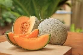 Melon Cantaloupe Fruit Seeds - Orange Variety for Unique Melon Flavors